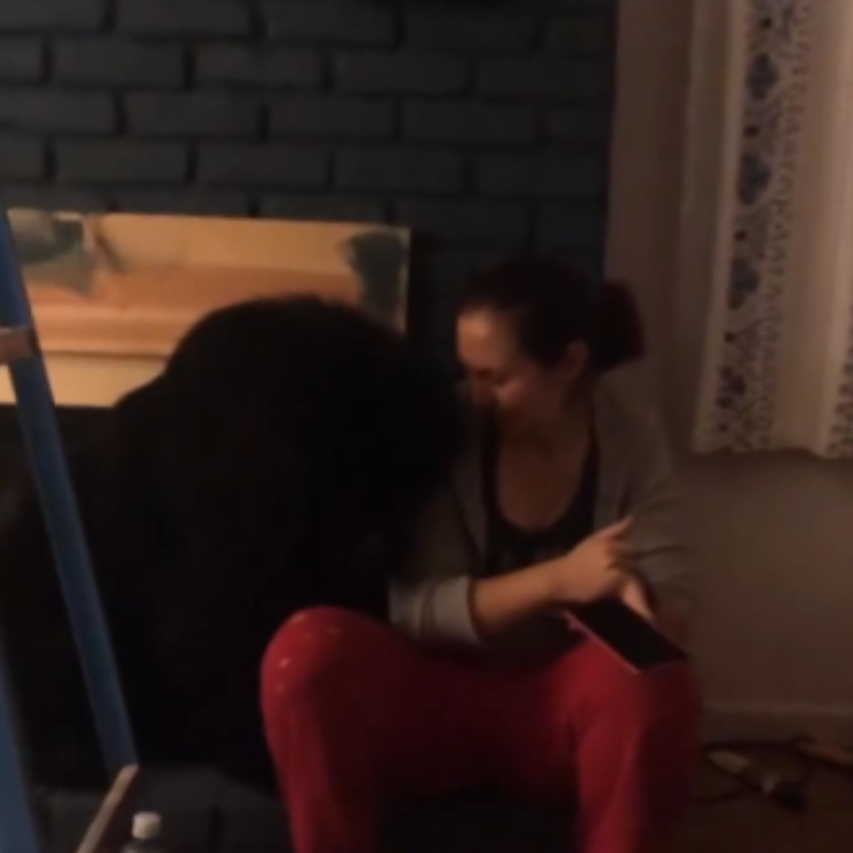 woman playing with giant dog