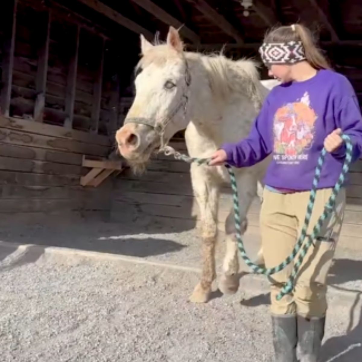 woman walking a horse