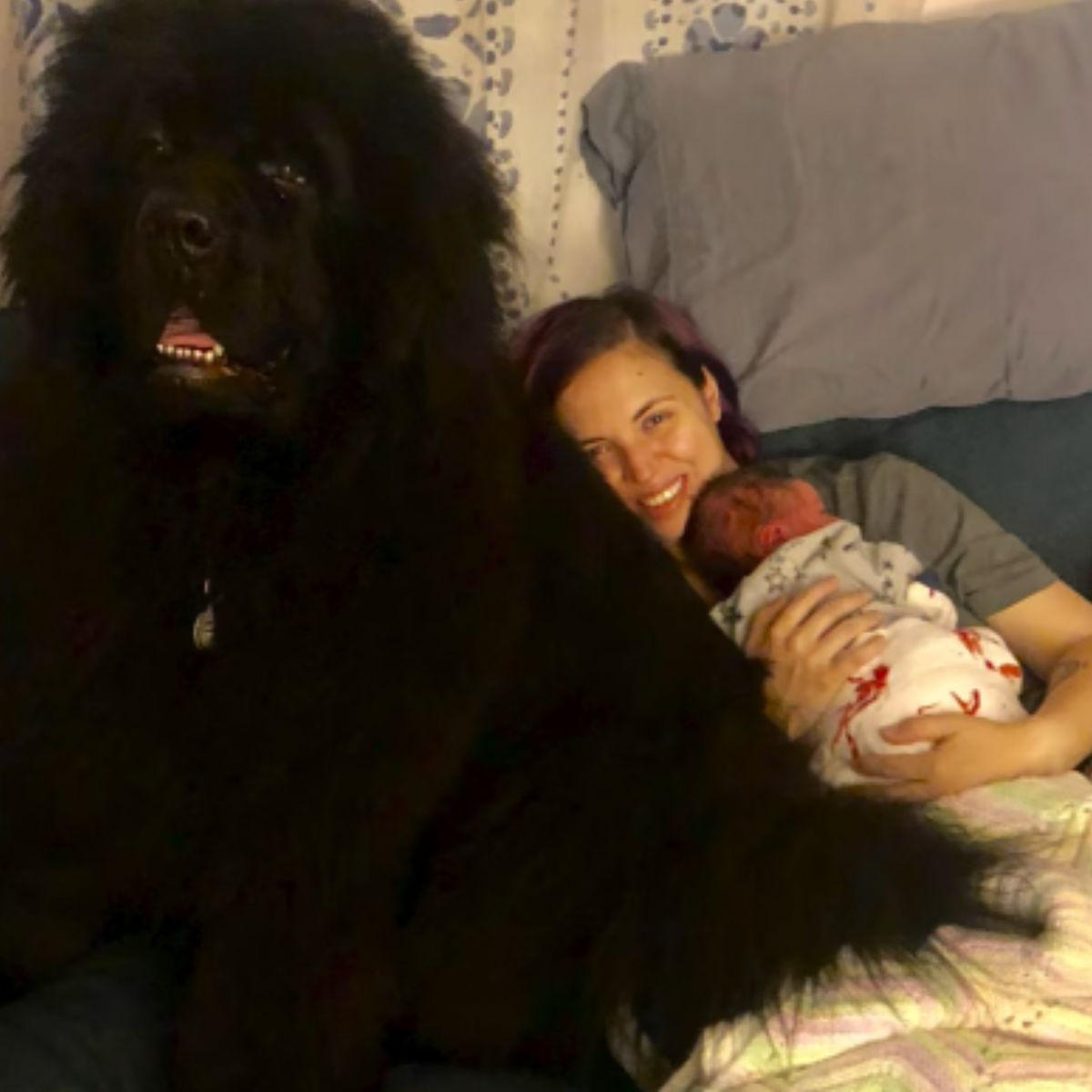 woman with baby and big dog