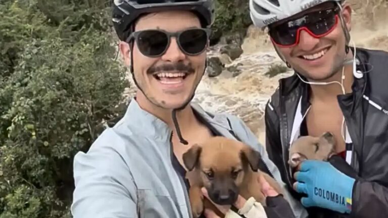 bikers with puppies