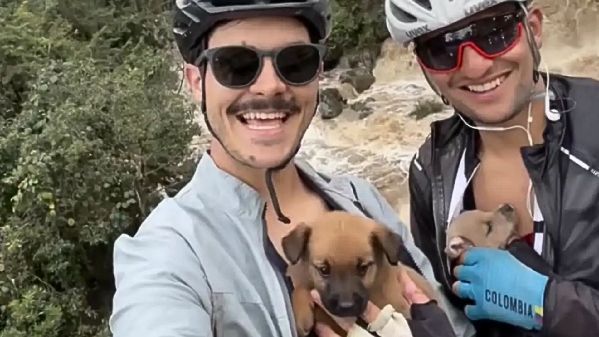bikers with puppies