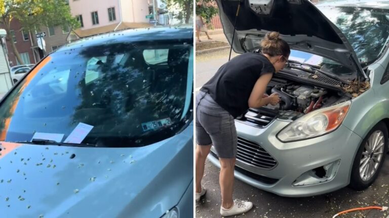 woman looks inside the car