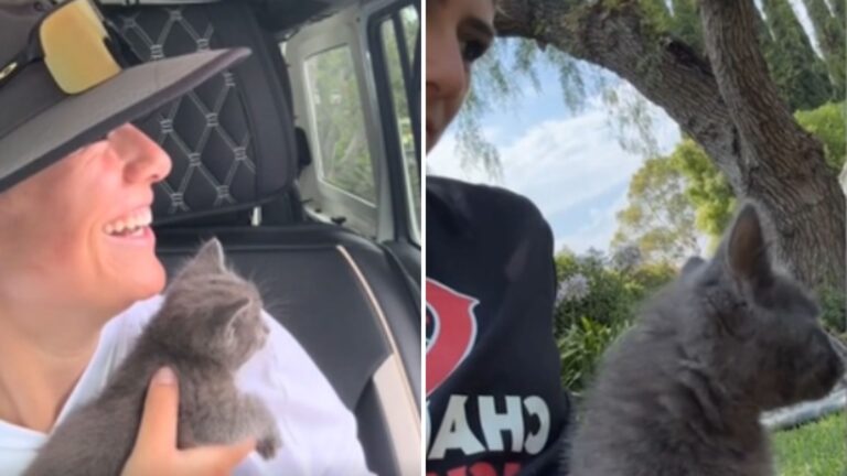 cat in a woman's arms