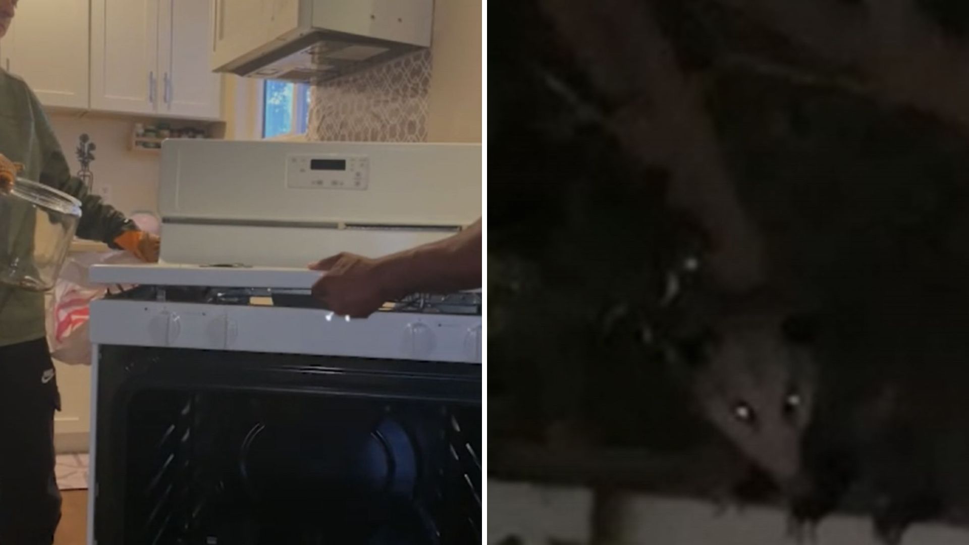 California Woman Finds Unexpected Visitor Hiding Inside Her Kitchen Stove