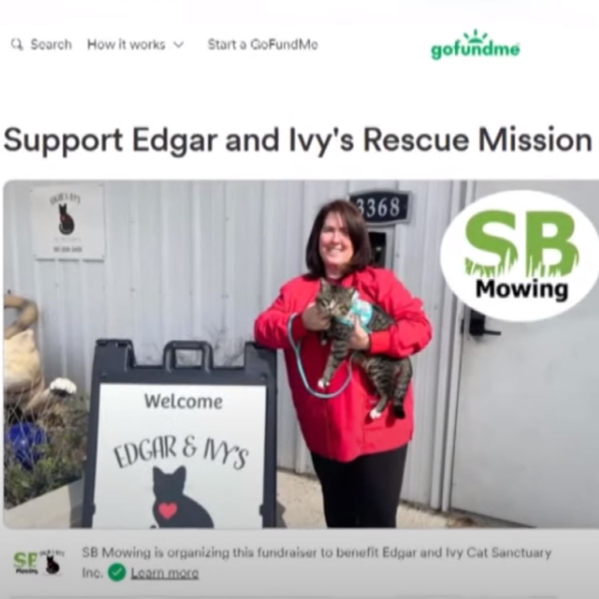 Cat Sanctuary