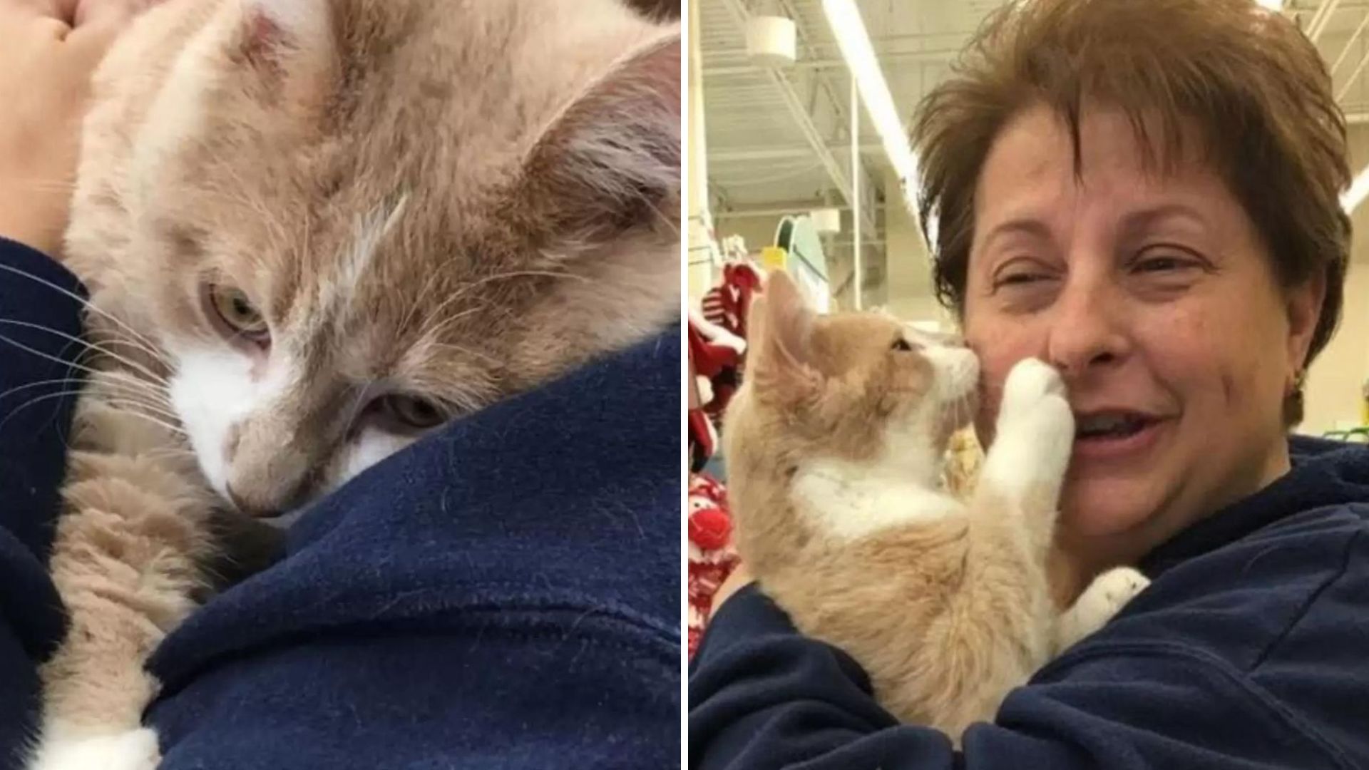 cat showers mom with kisses