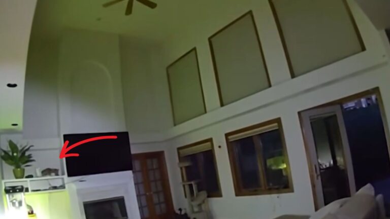 Colorado Woman Wakes Up To Loud Banging At 4 A.M. And Finds A Wild Guest In Her Living Room