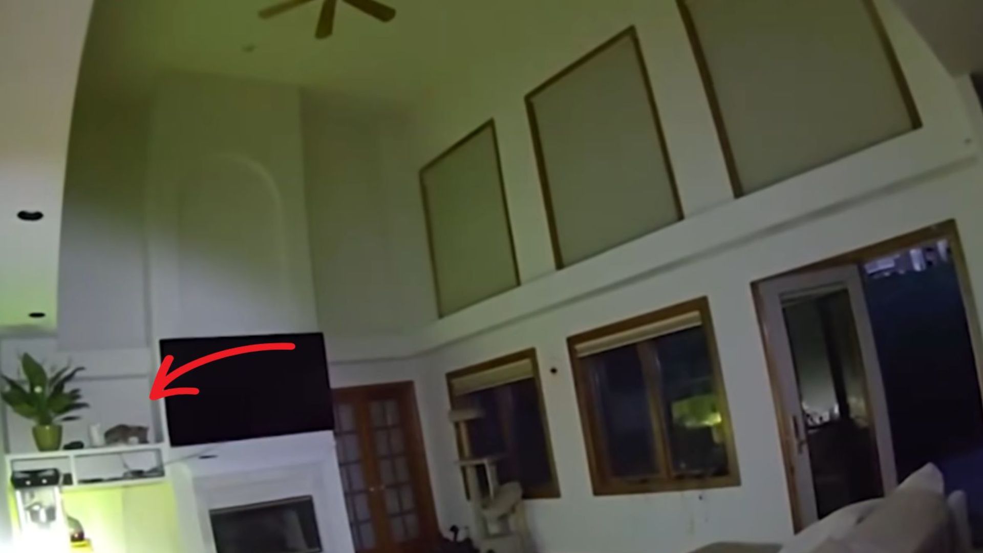 Colorado Woman Wakes Up To Loud Banging At 4 A.M. And Finds A Wild Guest In Her Living Room