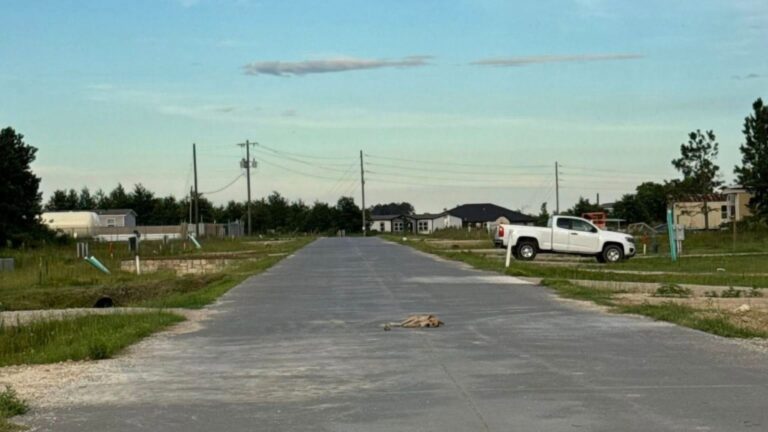 collapsed dog on the street