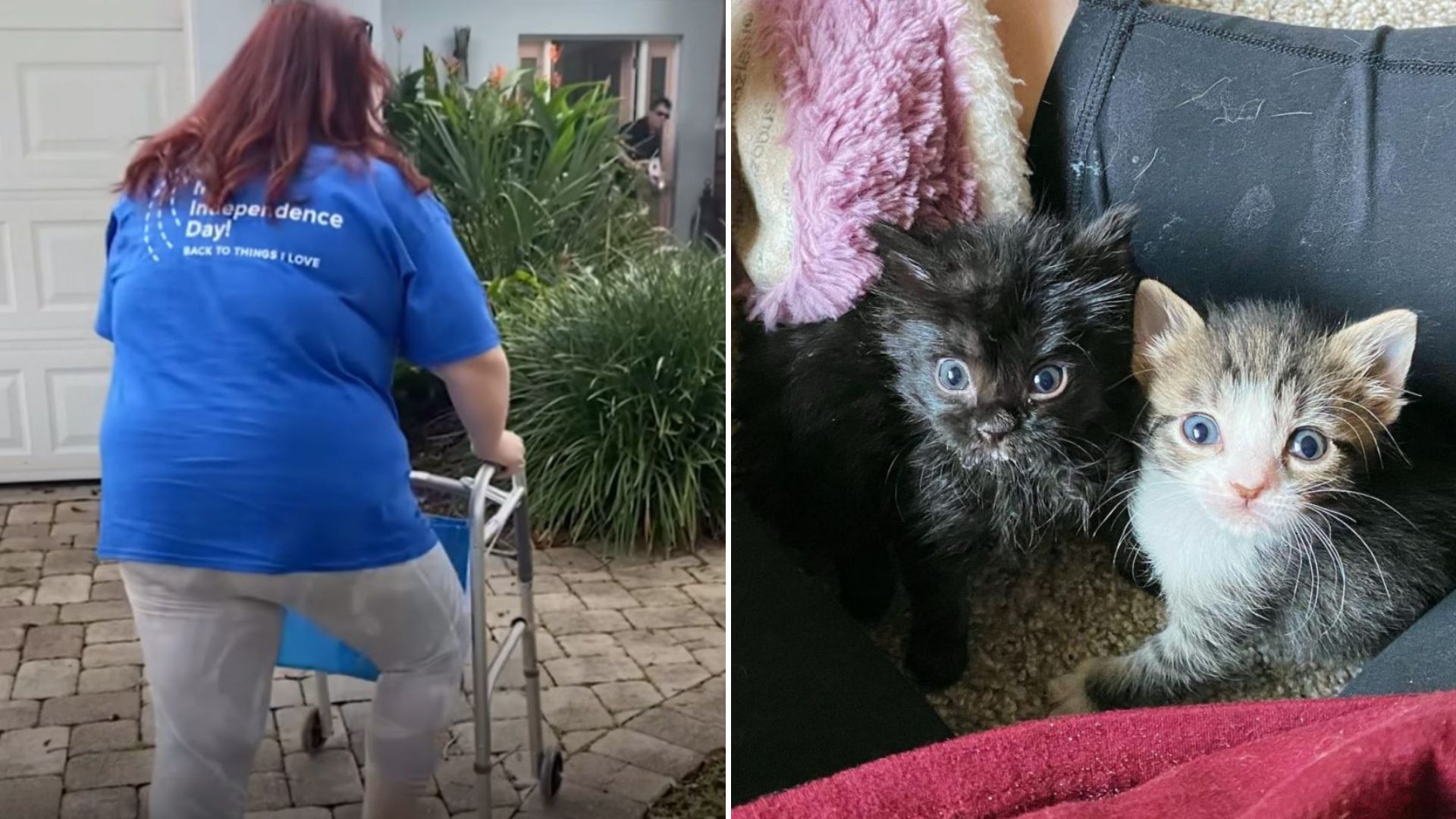 woman recovers from stroke thanks to kittens