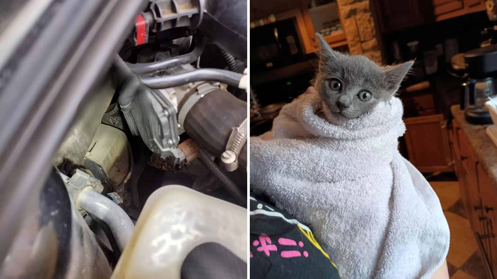 Georgia Family’s Road Trip Interrupted By Mysterious Cries Under The Hood