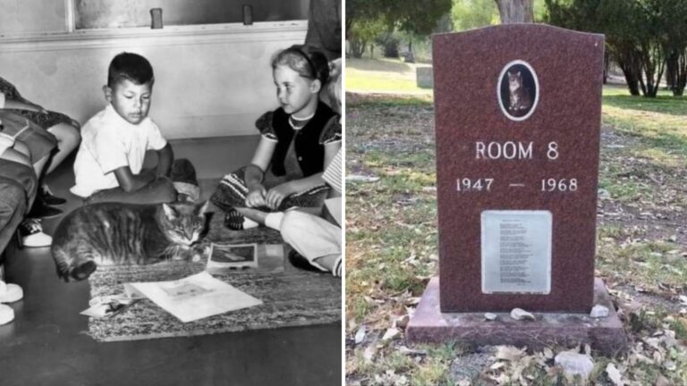 Gravestone In Los Angeles Reveals A Heartwarming Tale About A Cat With An Unusual Name