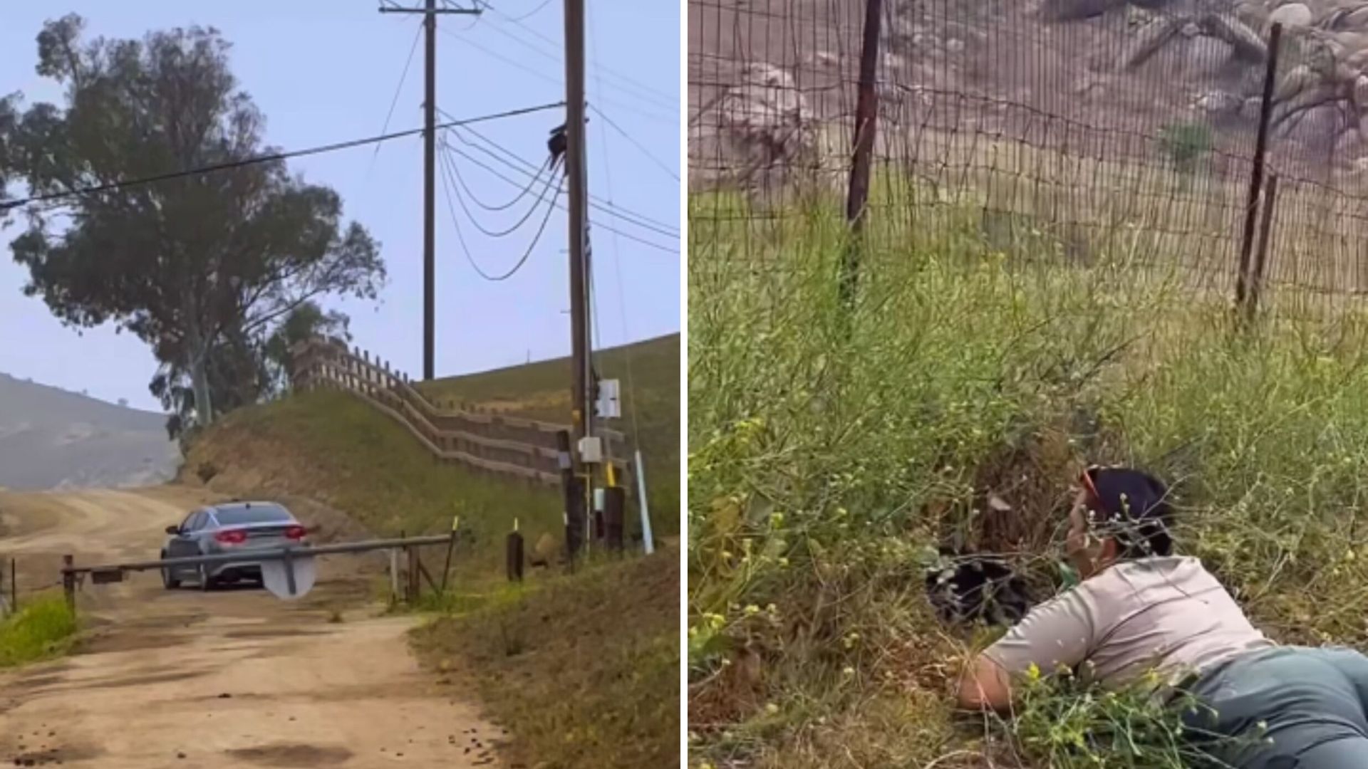 Heartbreaking Moment On California Trail As Hiker Sees Cat Thrown From Vehicle