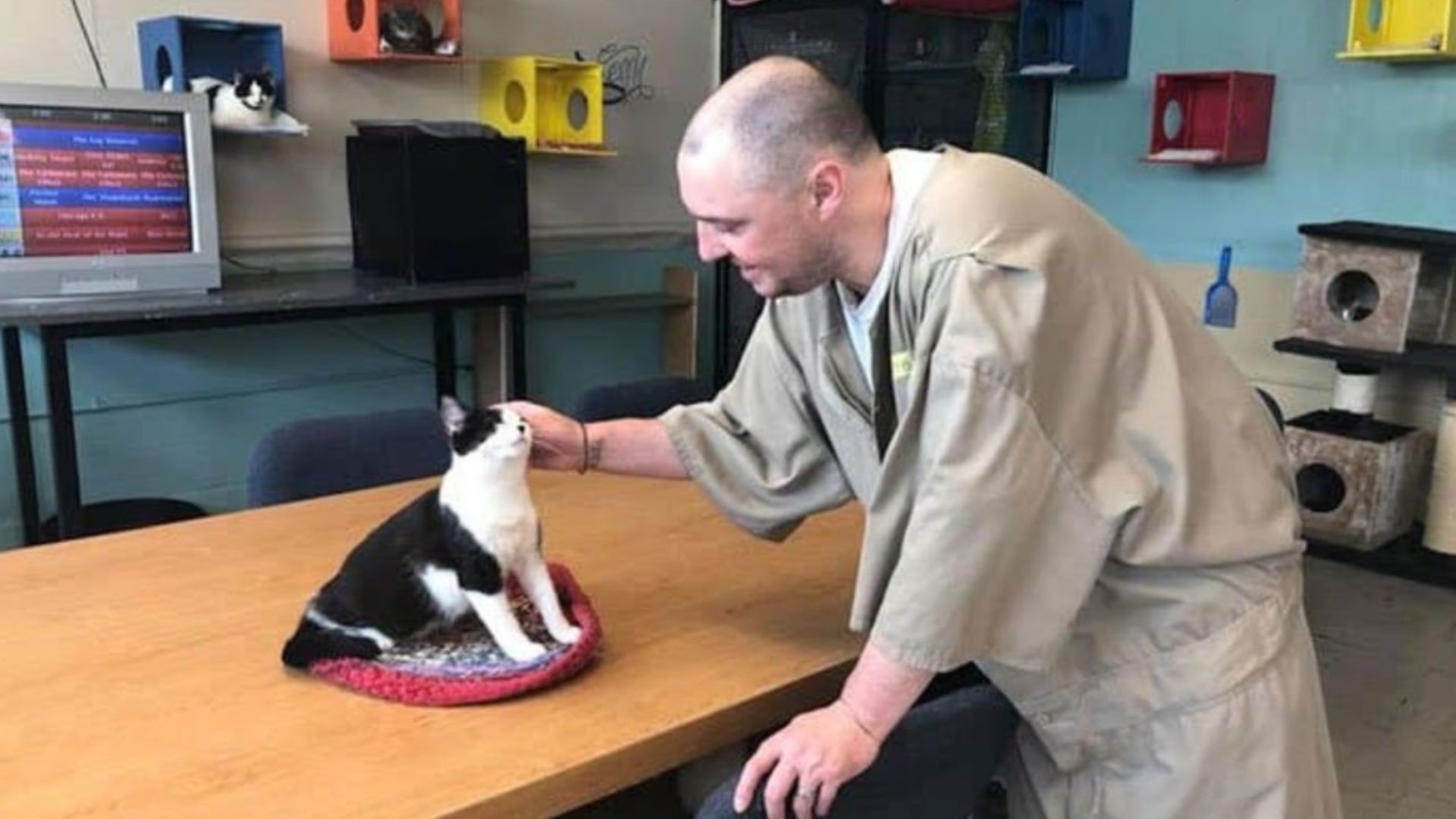 How Shelter Cats Are Transforming Inmates' Lives At This Indiana Prison