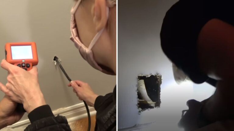 kitten stuck in the wall