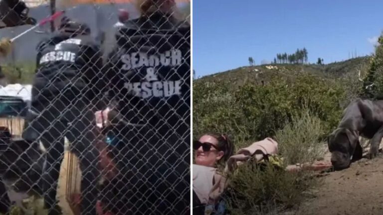 woman notices a figure on a mountain