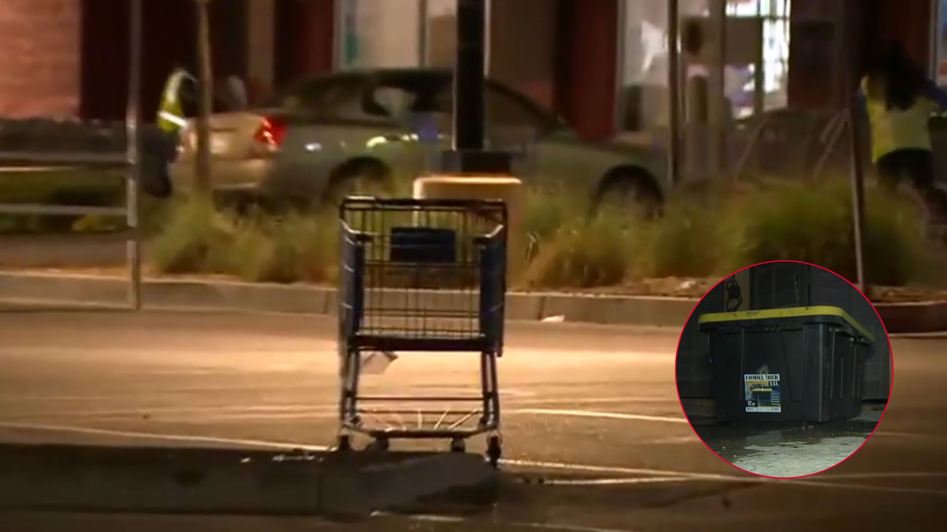 Las Vegas Walmart Staff Spot A Sealed Box In A Cart Then See A Tiny Nose Peeking Out