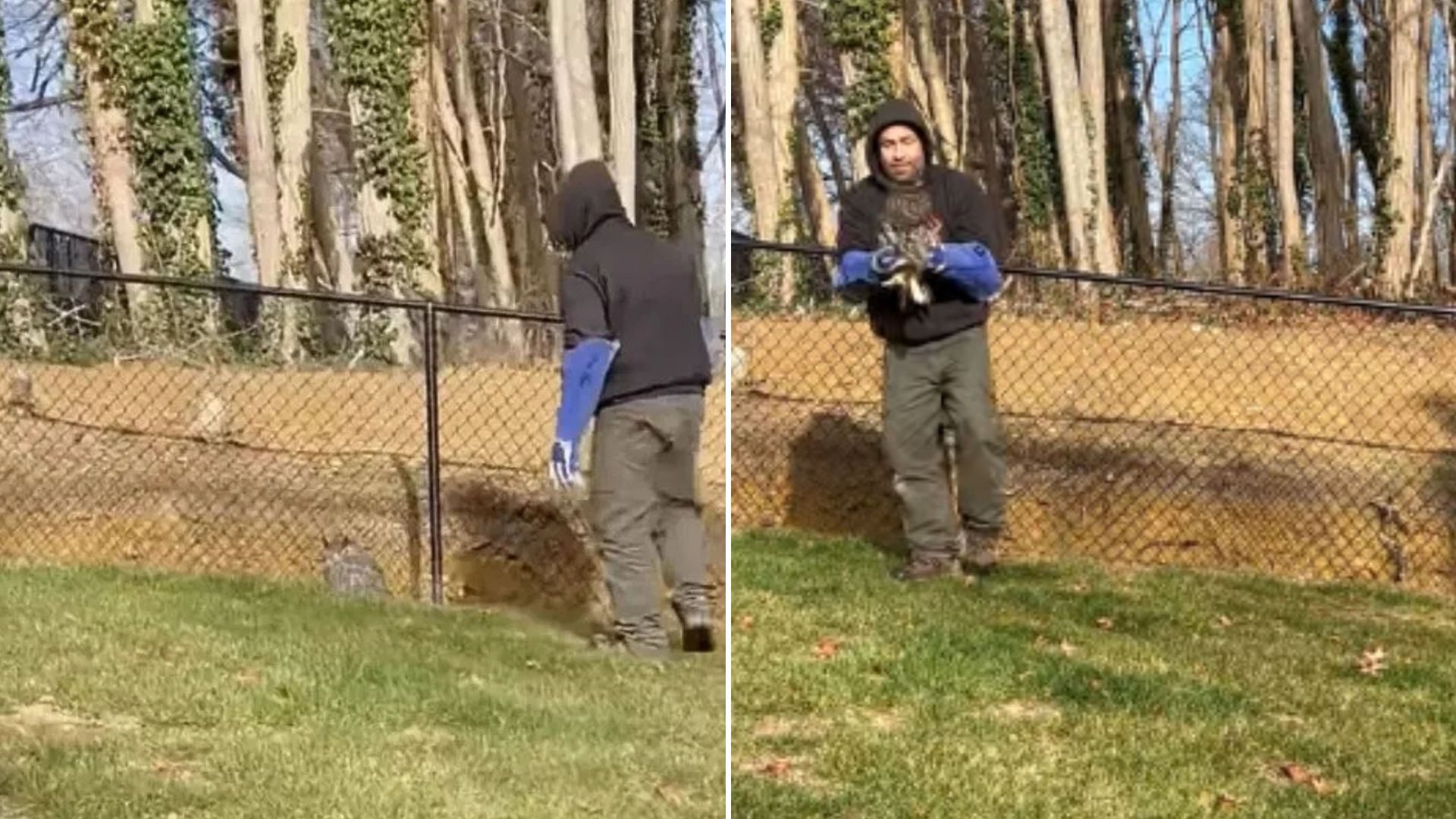 man holding an animal