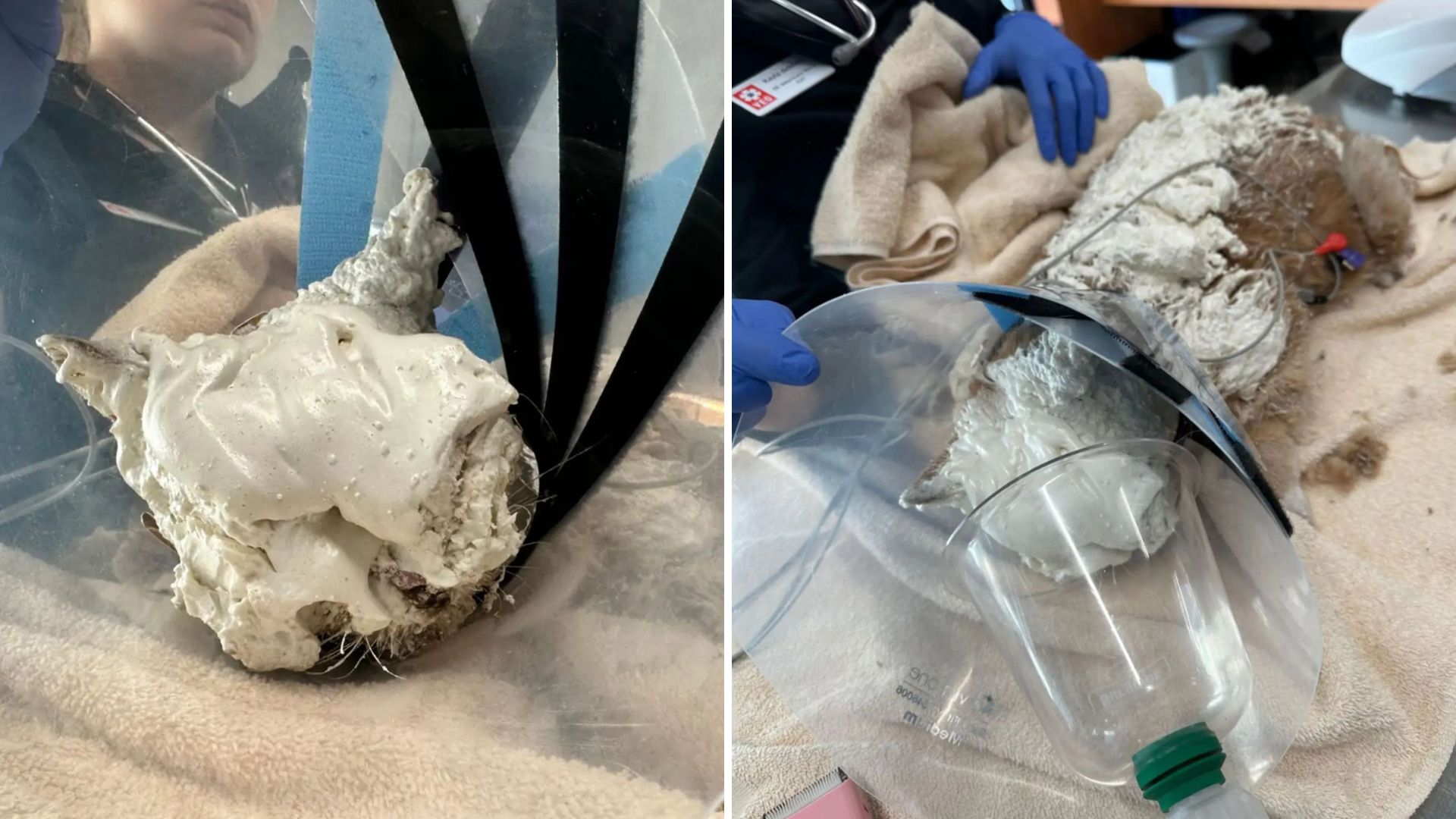 ball of hardened foam