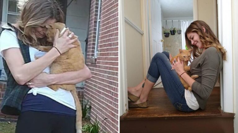 lost cat reunited with family
