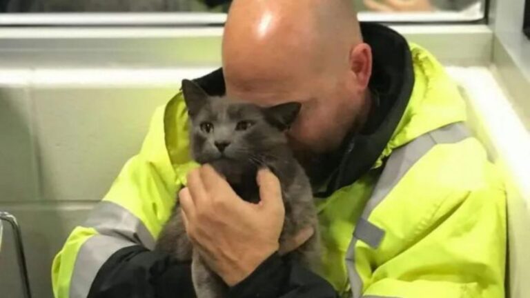 man hugging a cat