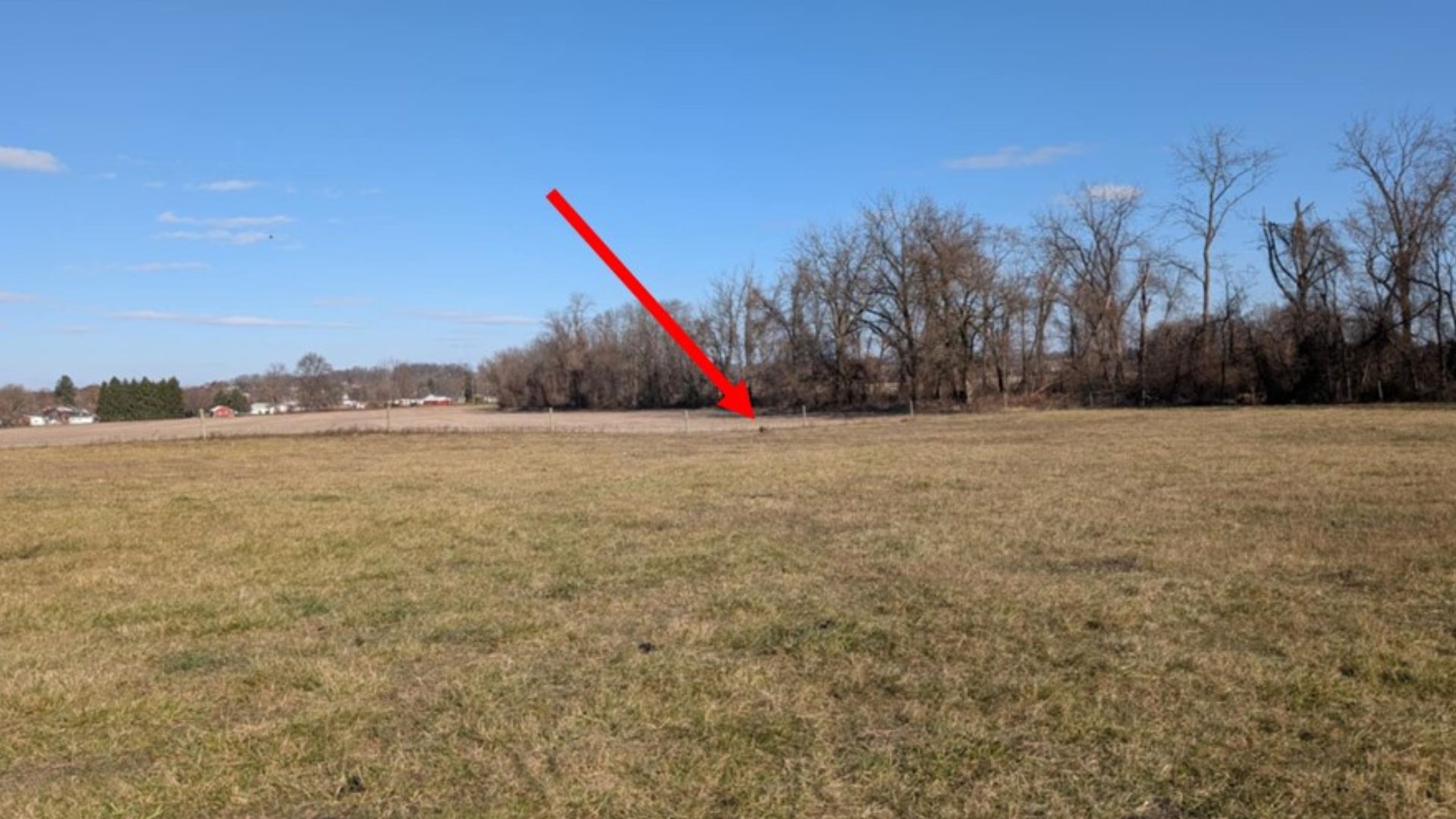 field