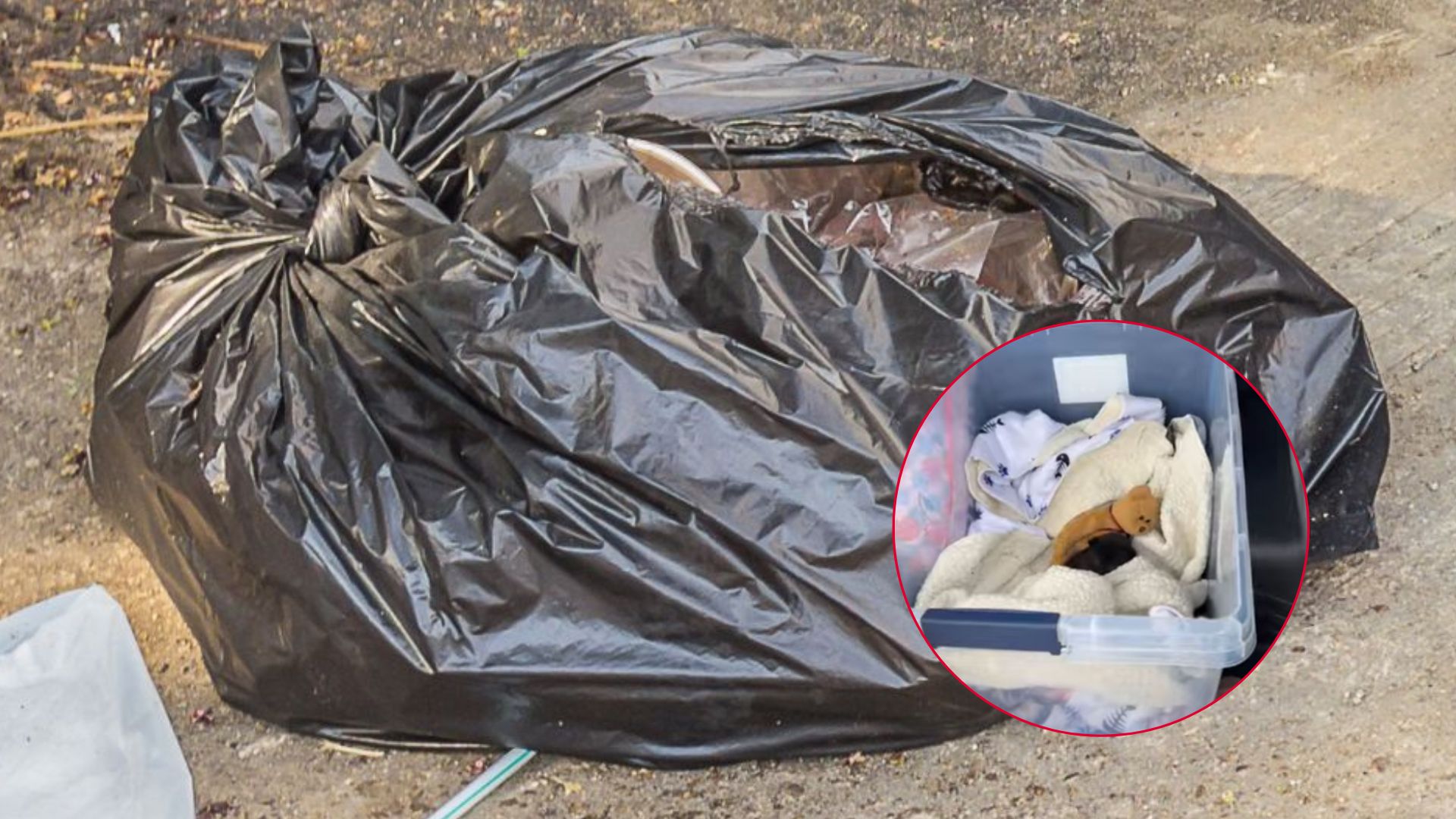 plastic bag