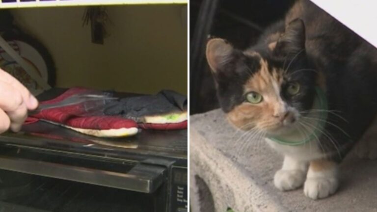 Raging Fire Sweeps Through Florida Home But A Miraculous Friend Saves The Family