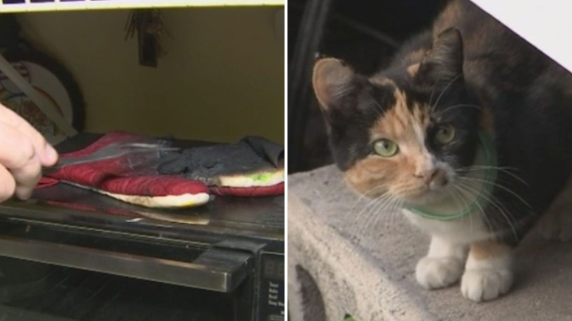 Raging Fire Sweeps Through Florida Home But A Miraculous Friend Saves The Family