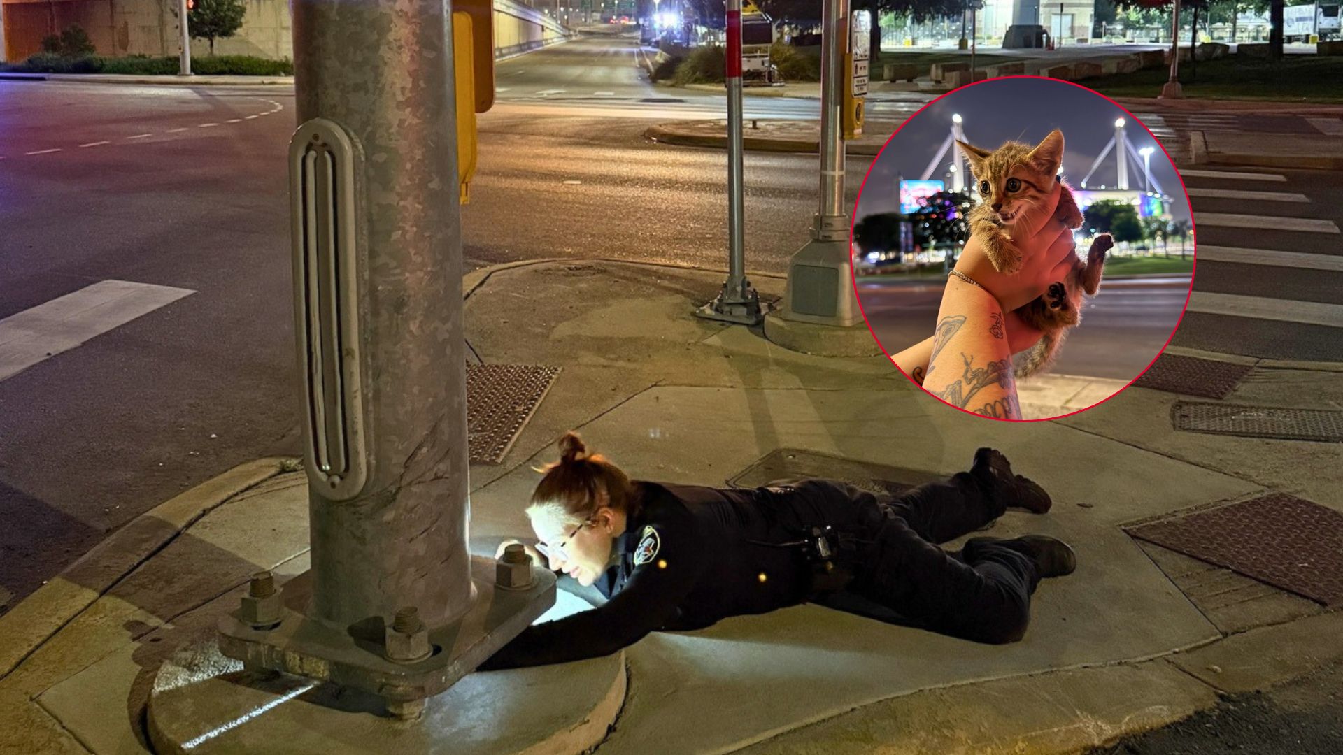 cat stuck under a pole