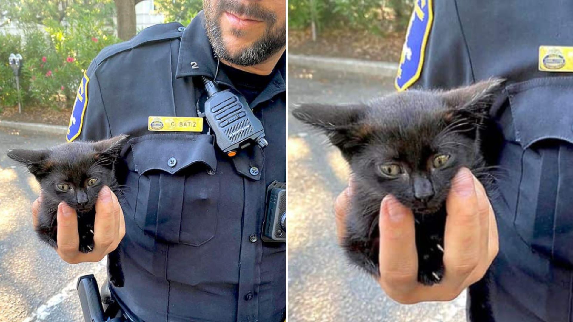 South Carolina Officer Takes Immediate Action After Finding A Furry Soul Stuck In A Car Engine