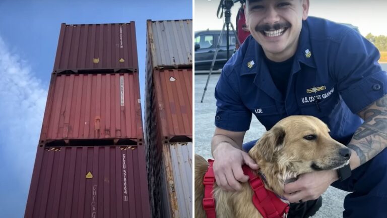 man and rescued dog