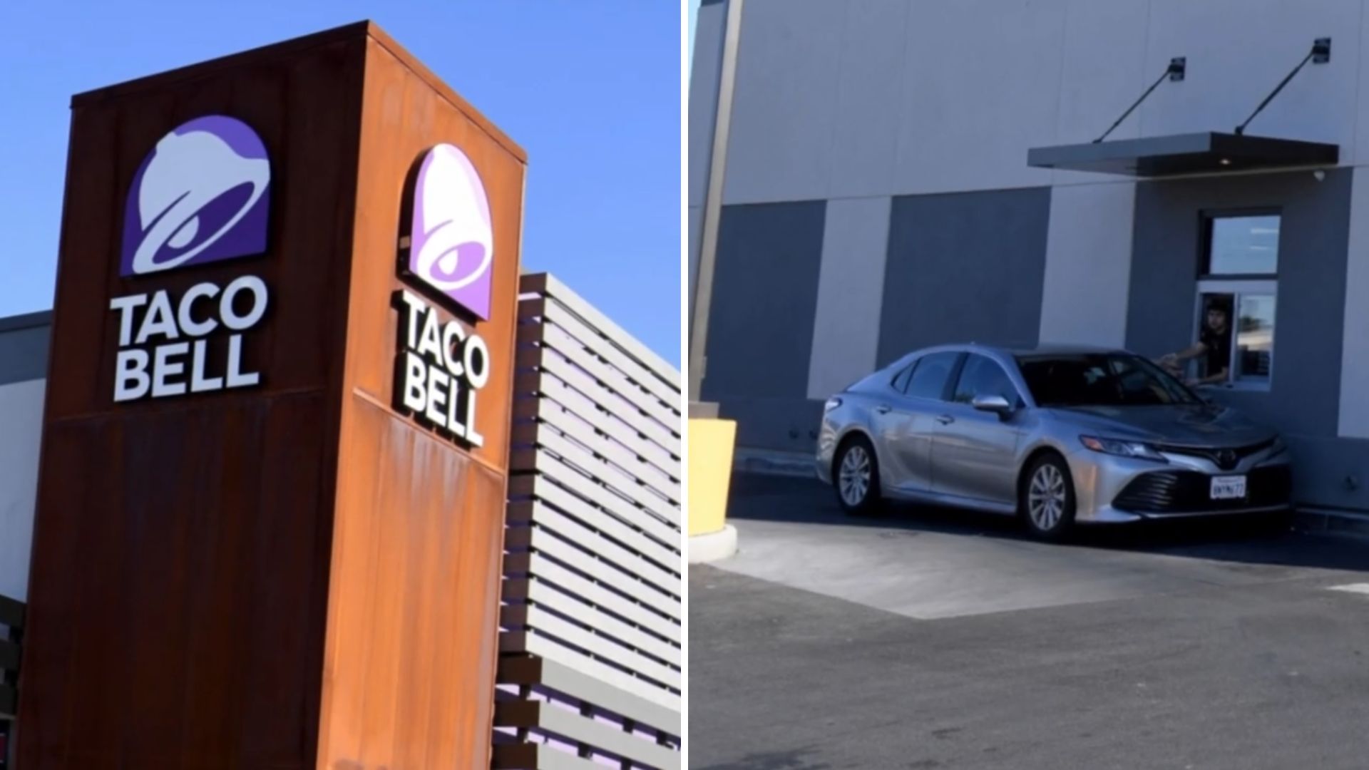 man finds cat at taco bell drive thru