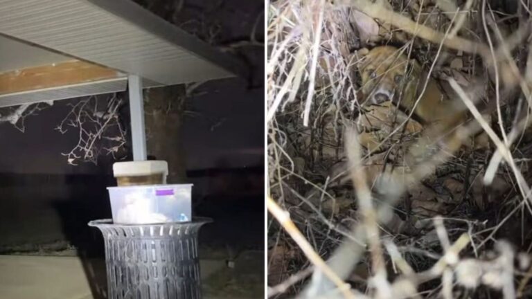 box on a trash can
