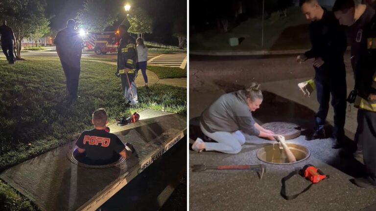 kittens stuck in a storm drain