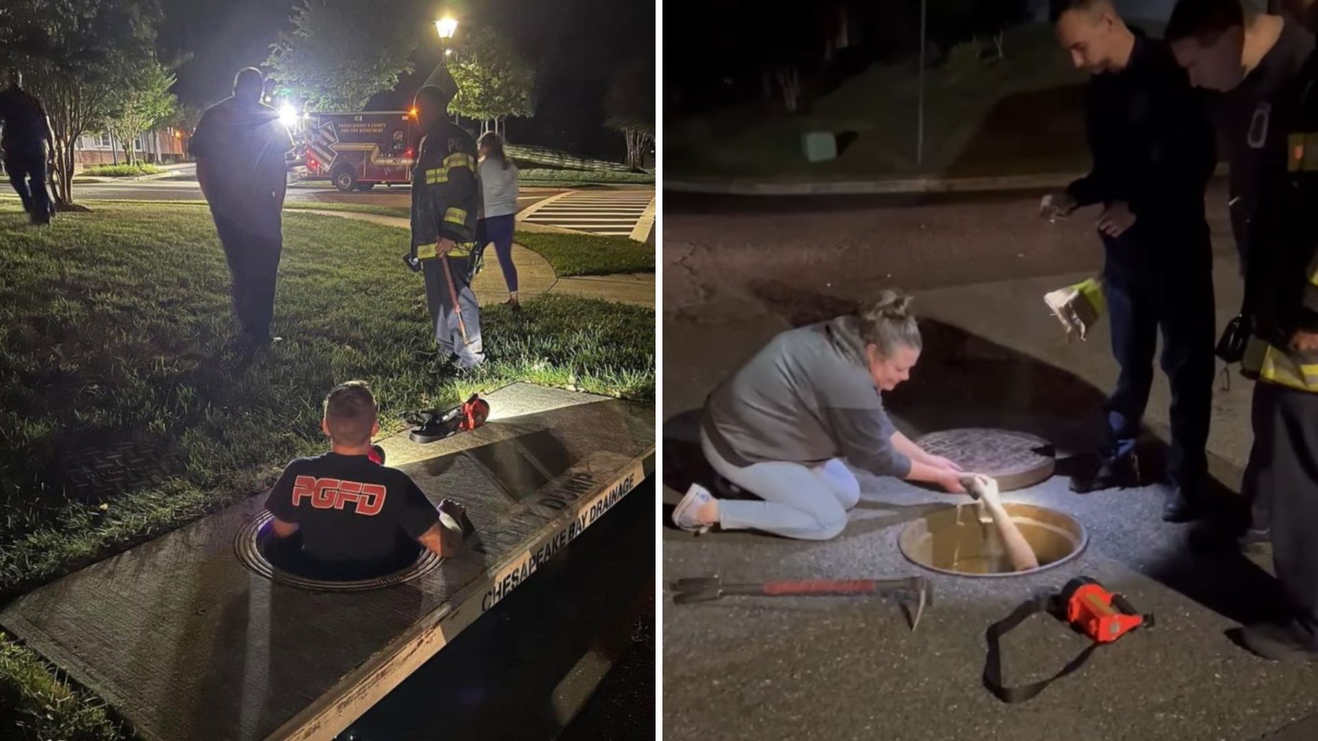 kittens stuck in a storm drain
