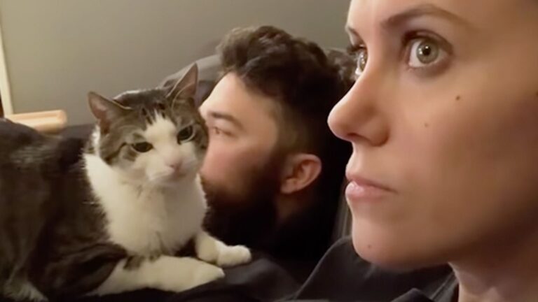 angry woman sitting with man and cat