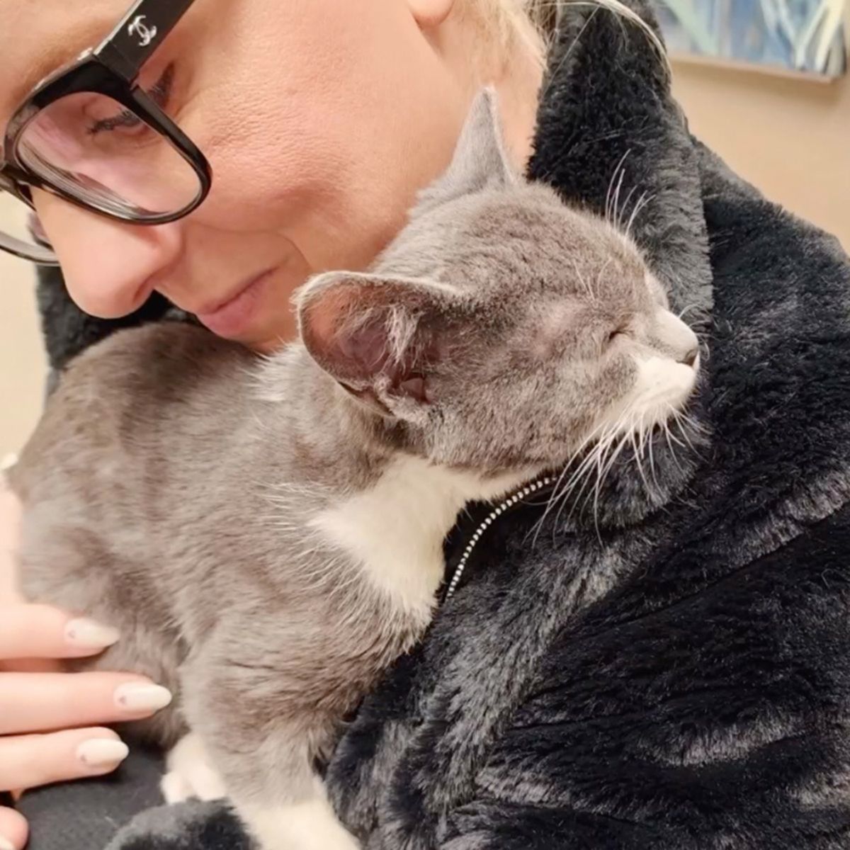 adorable cat is cuddling