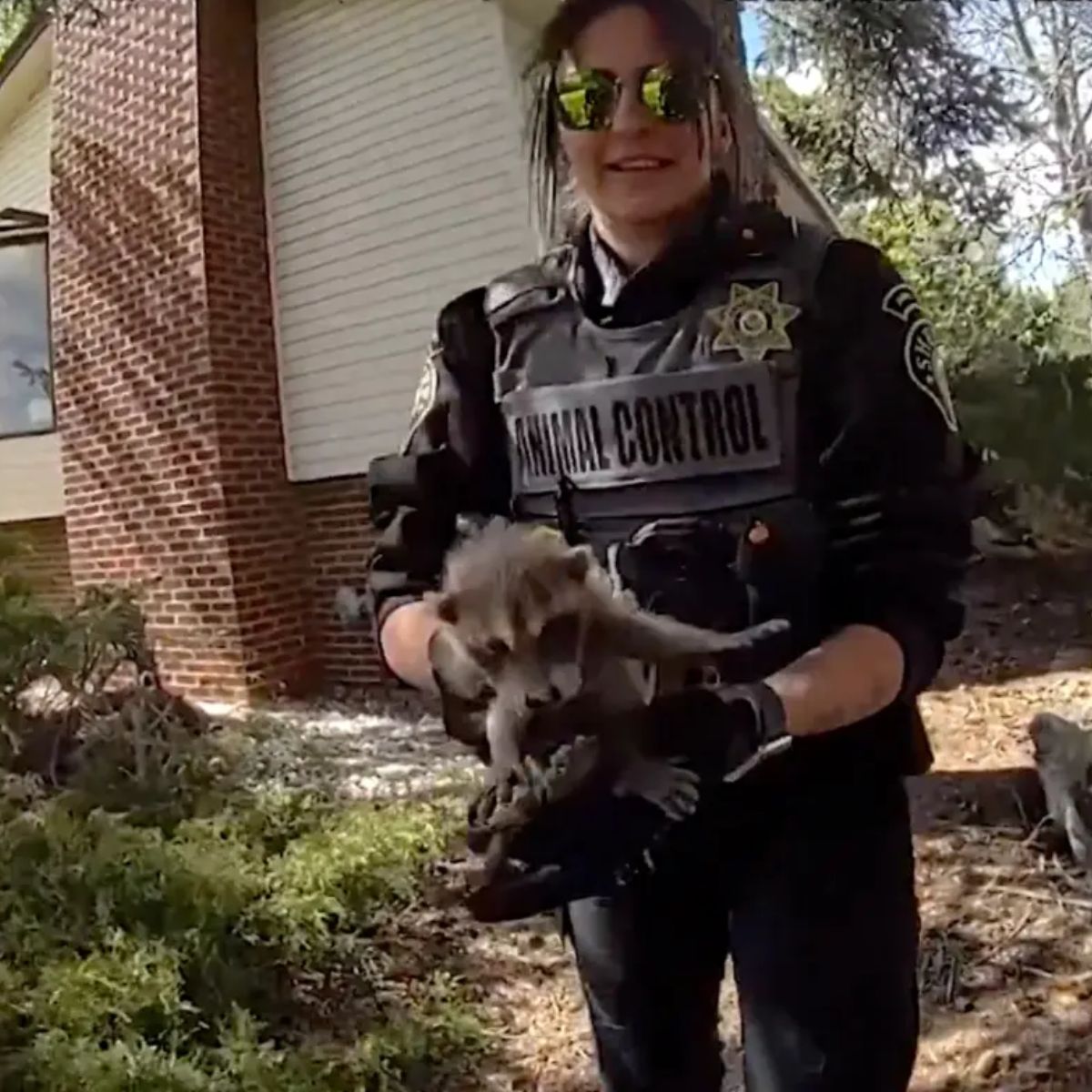 animal control holding a raccoon