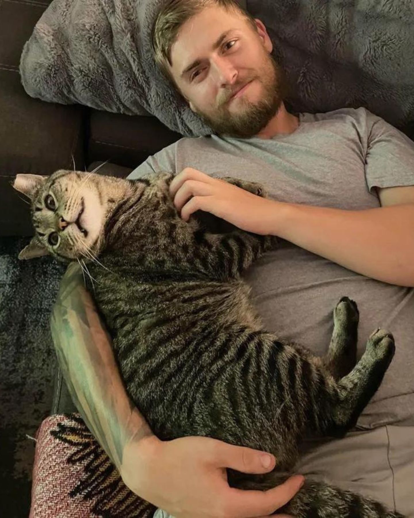 big cat sleeps with a man