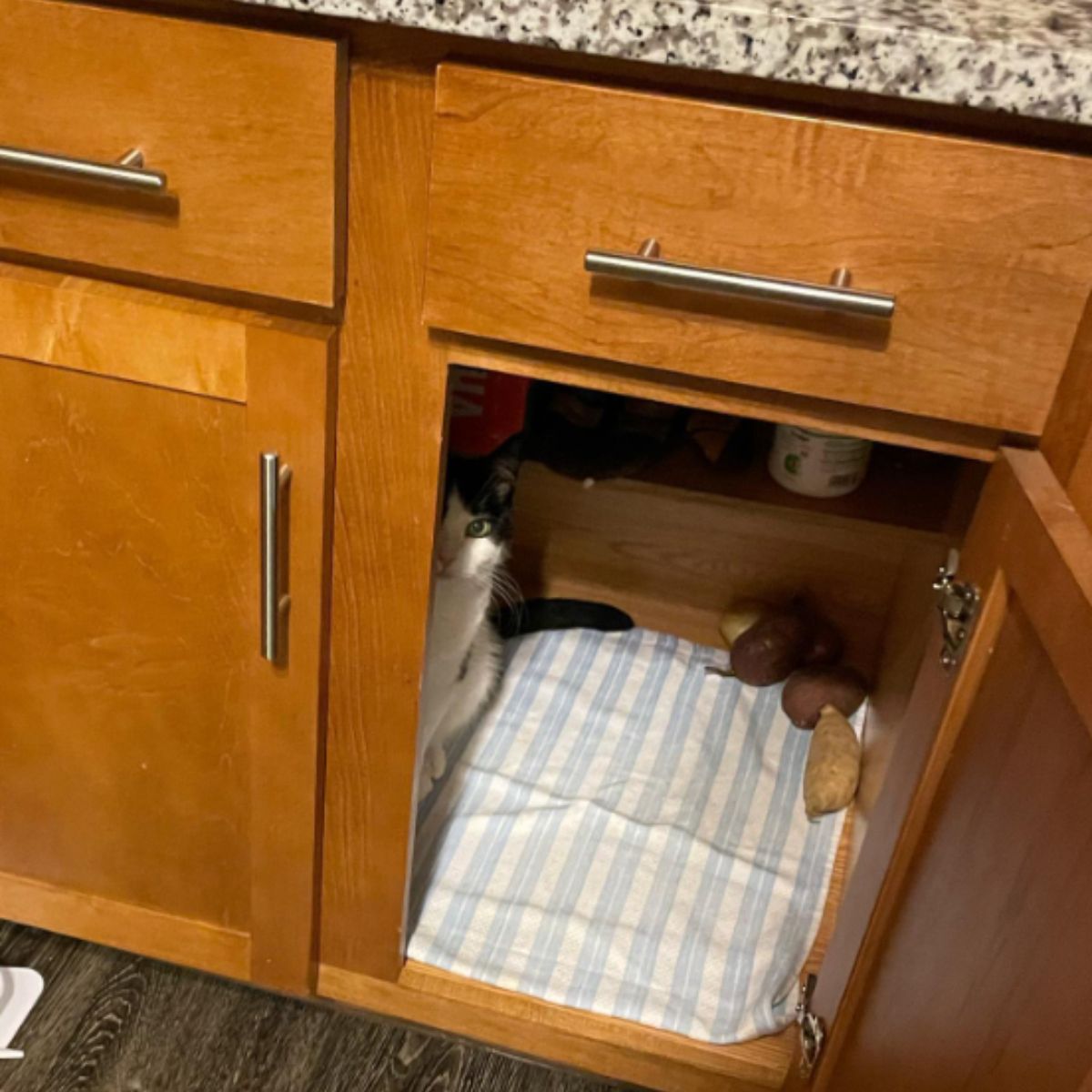 black and white cat hid in the kitchen with the potatoes