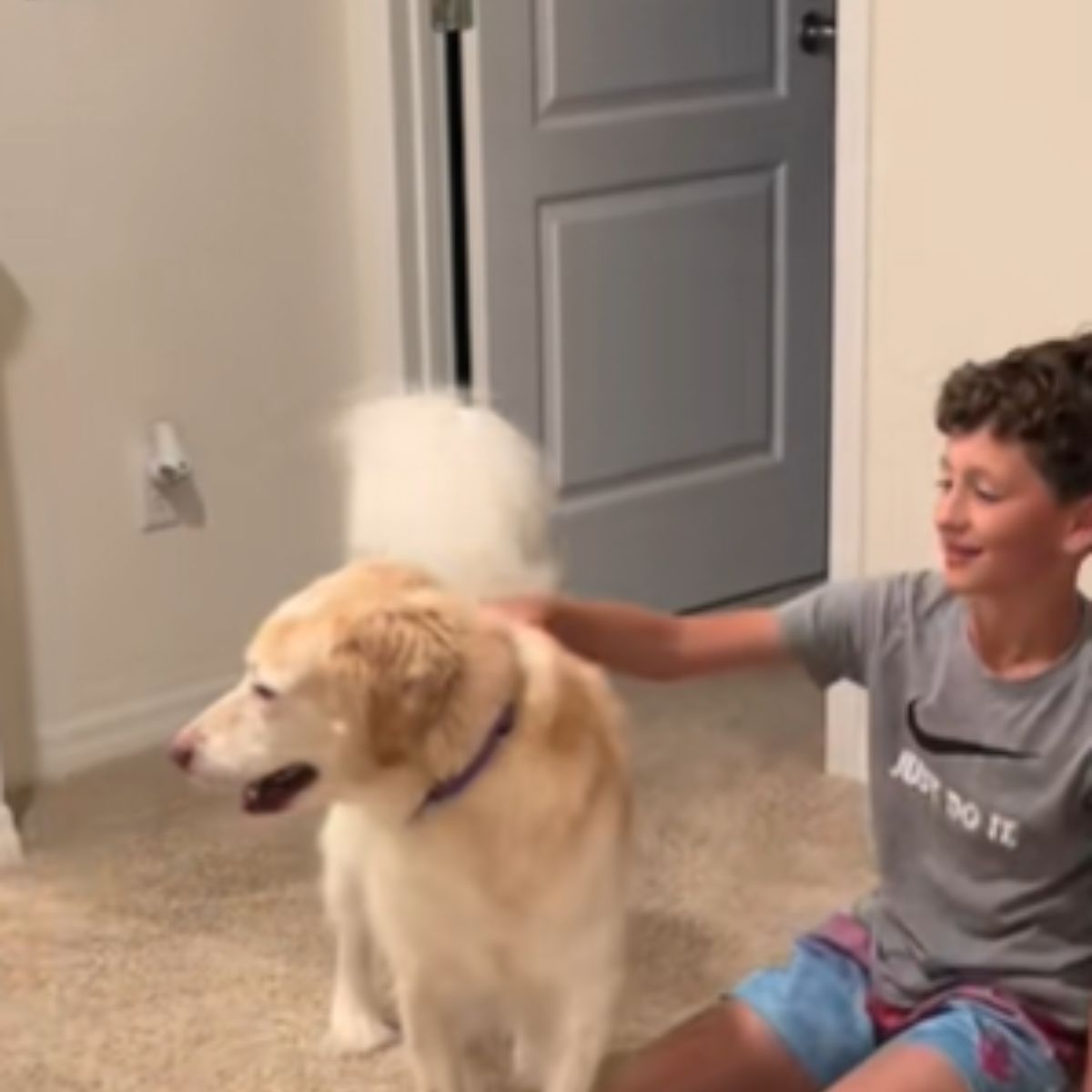 boy petting the dog