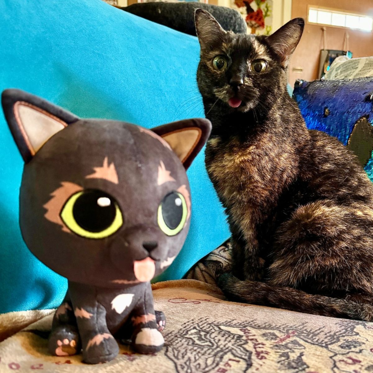 cat and plushie