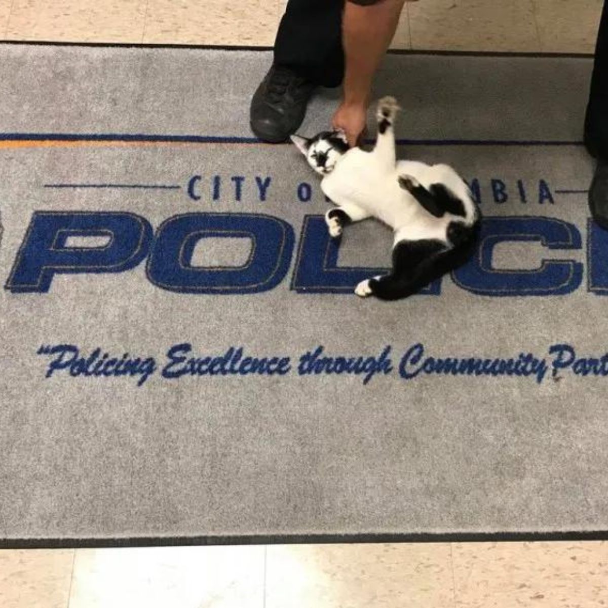 cat entered the police station