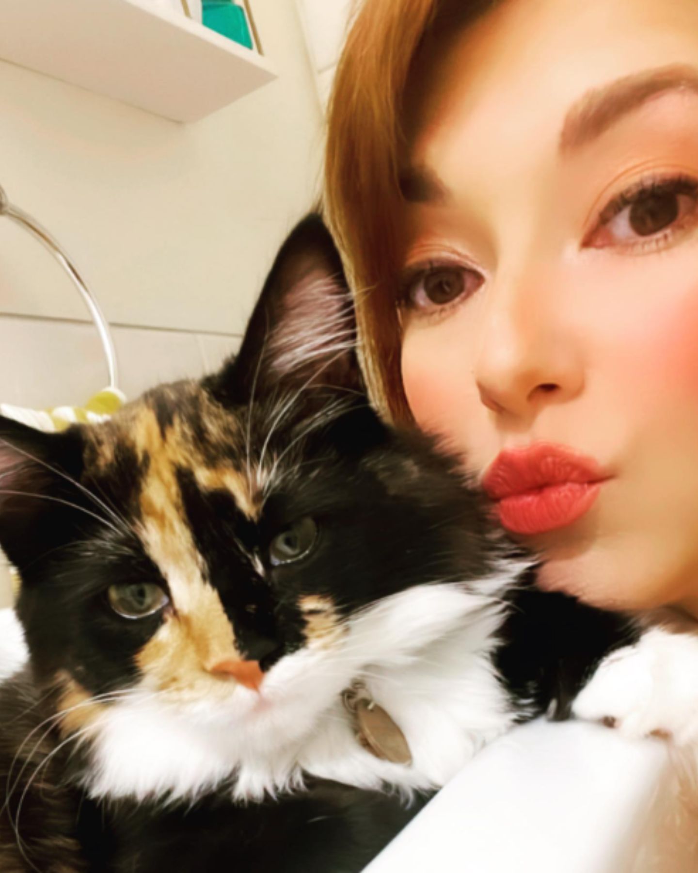 cat face next to womans face