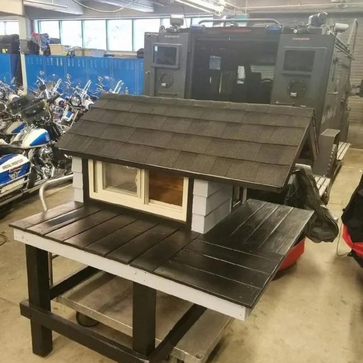cat house