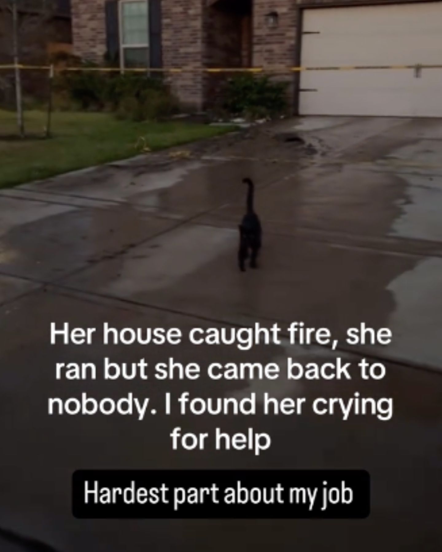 cat in front of the firehouse