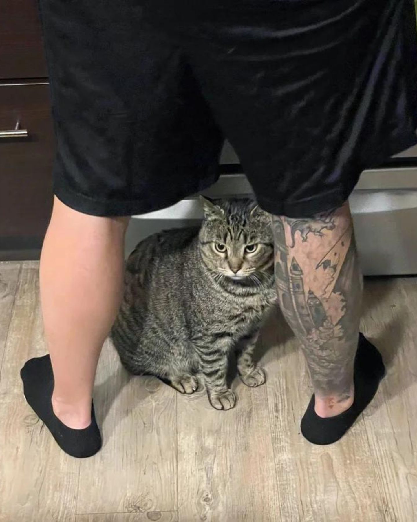 cat is sitting next to the man's feet