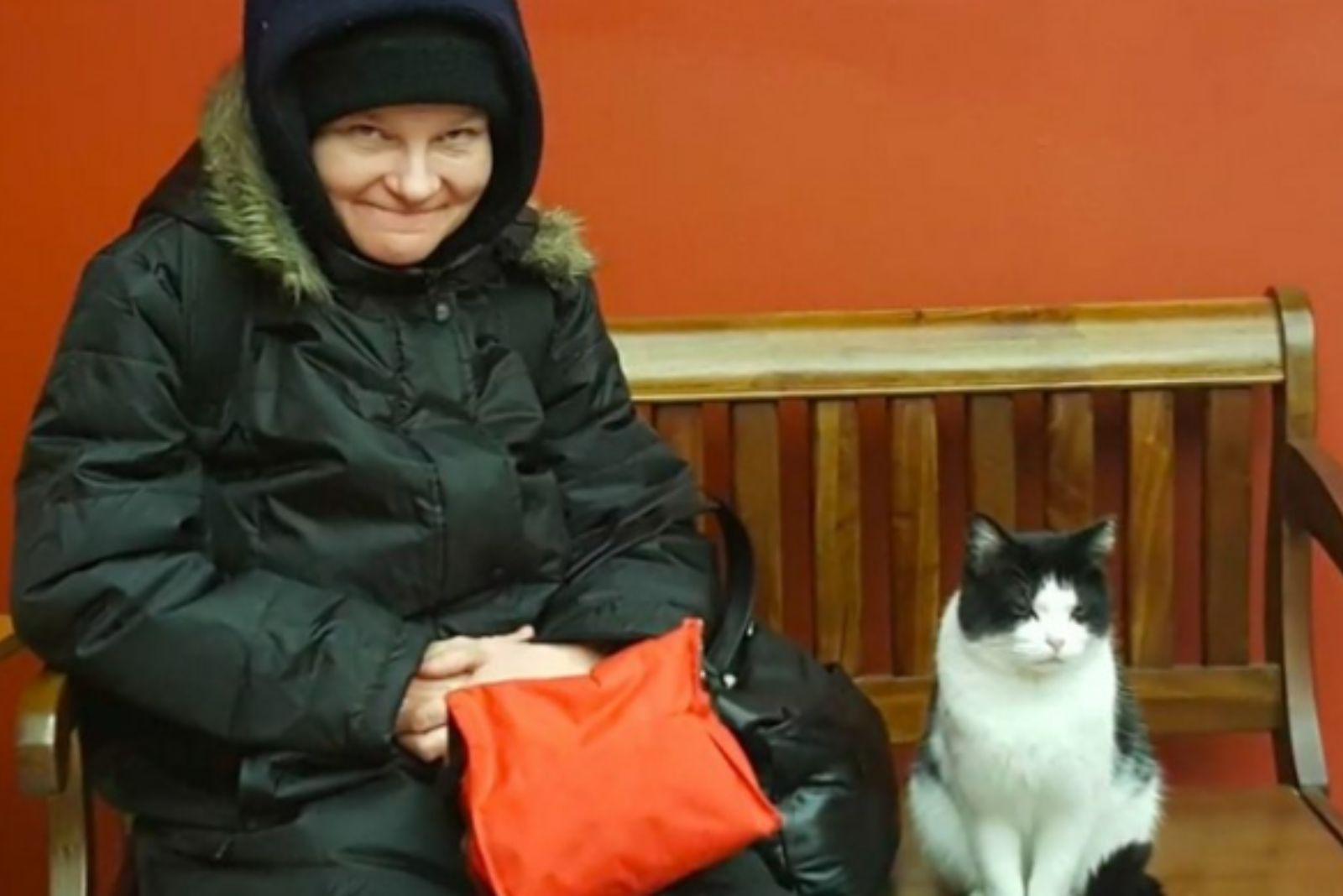 cat is sitting with the woman on the bench