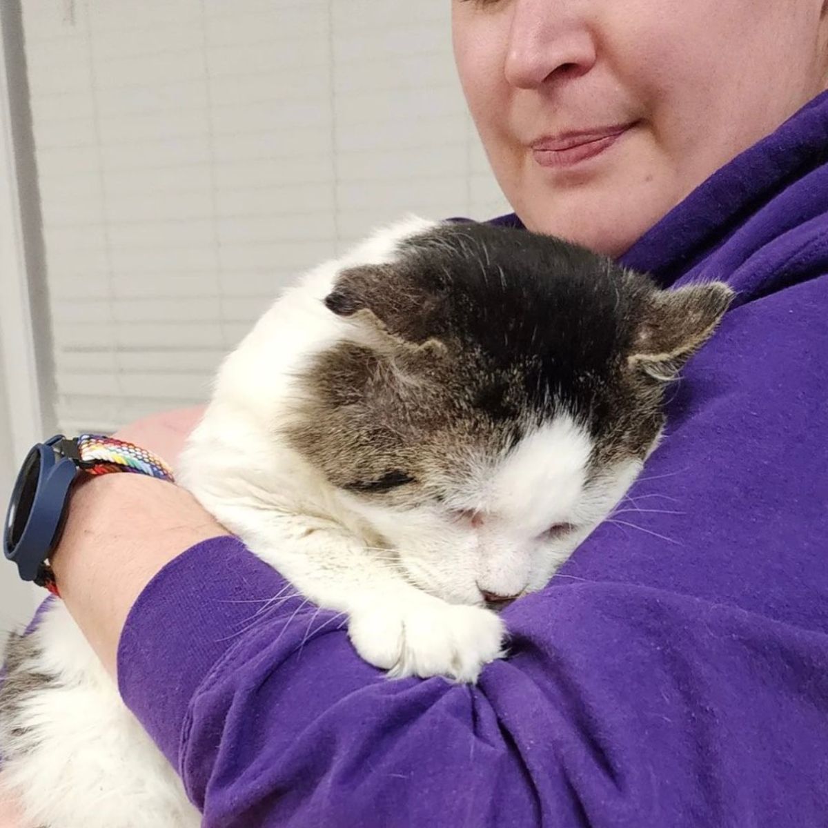 cat is sneaking around with the woman